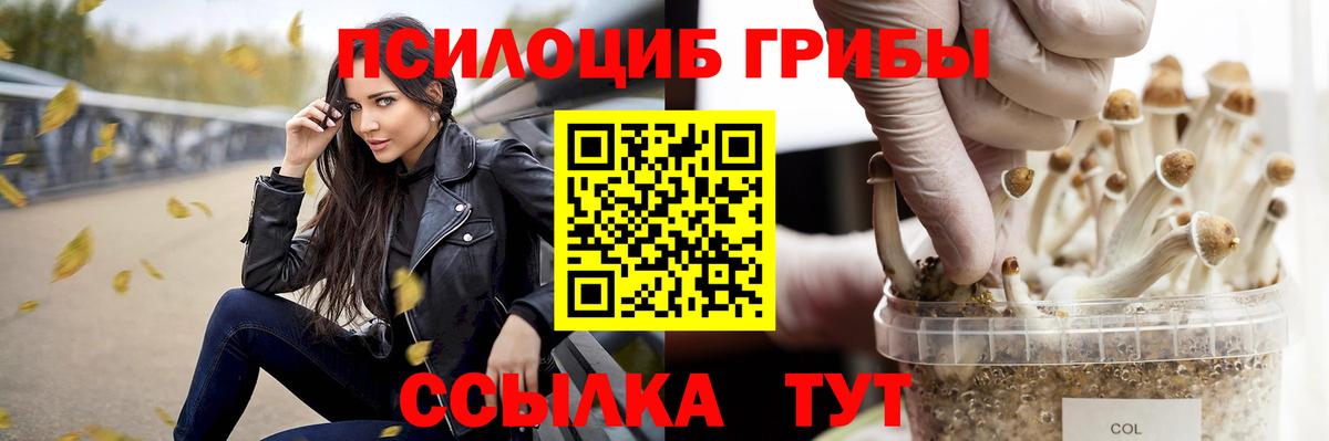 Малоярославец  Псилоцибиновые грибы Magic Shrooms  Галлюциногенные грибы ЛСД  продажа наркотиков  Вход с VPN 